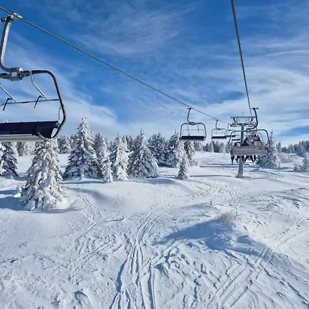 Avalon Копаоник